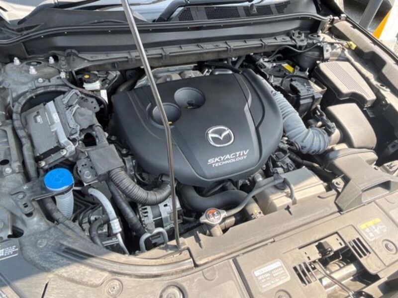 CX-8