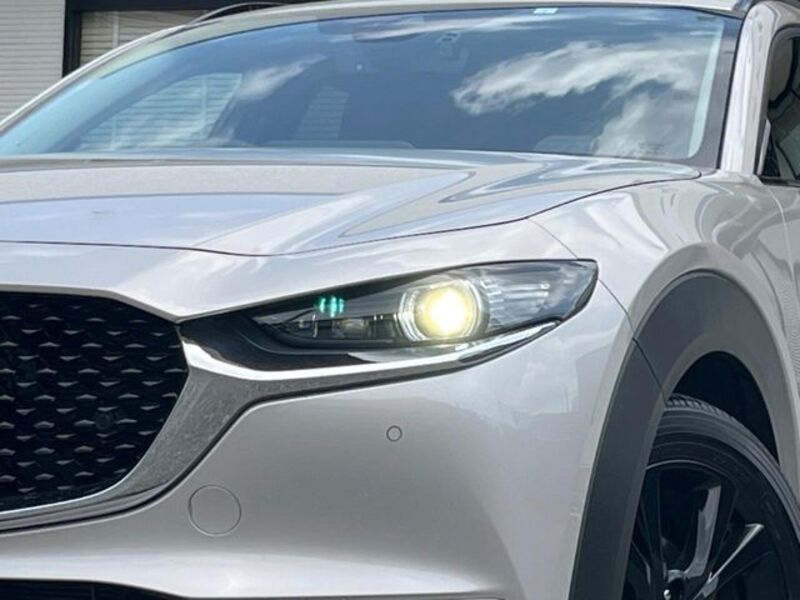 CX-30