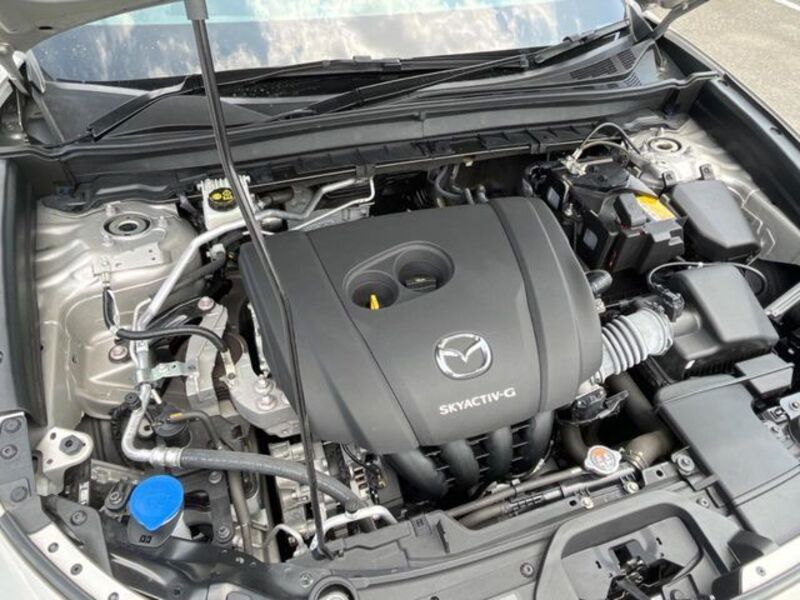 CX-30