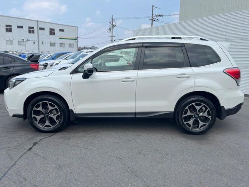 FORESTER