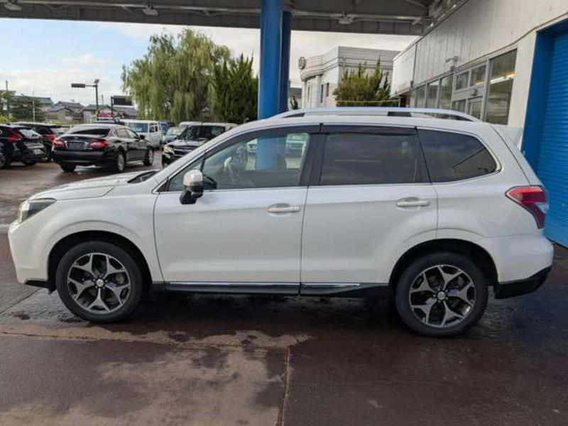 FORESTER