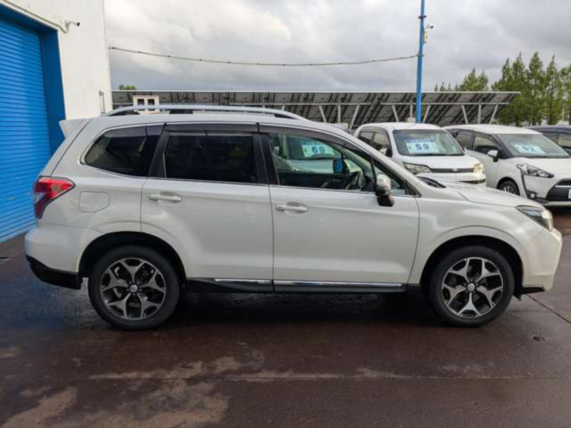 FORESTER