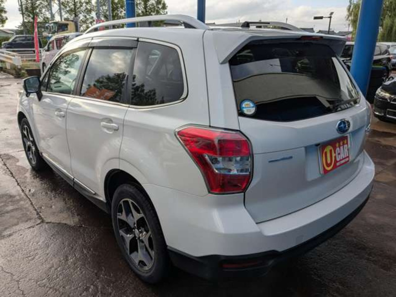 FORESTER