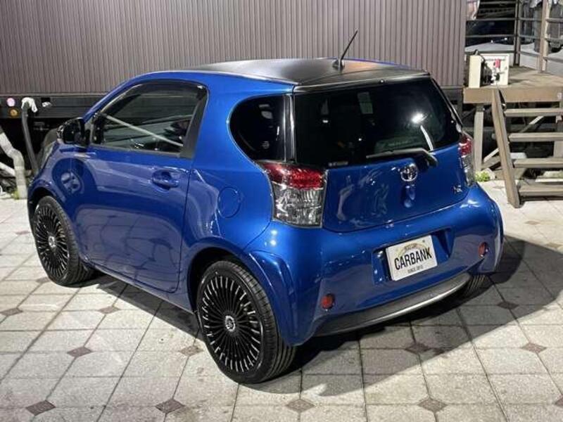 IQ