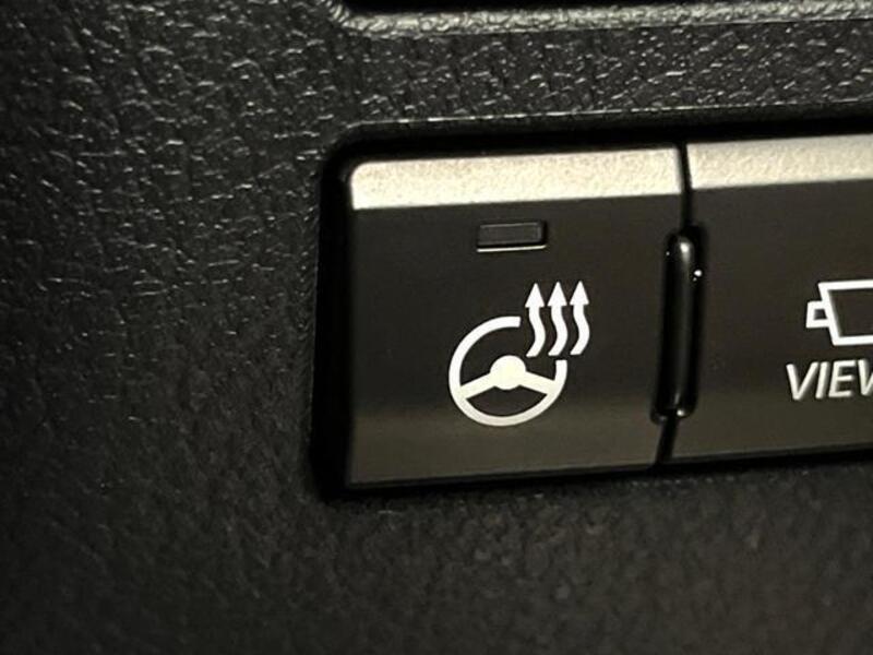 NX