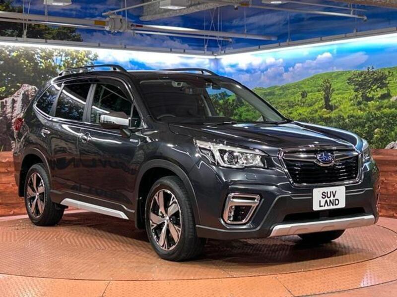 FORESTER
