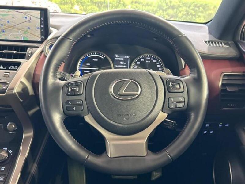 NX