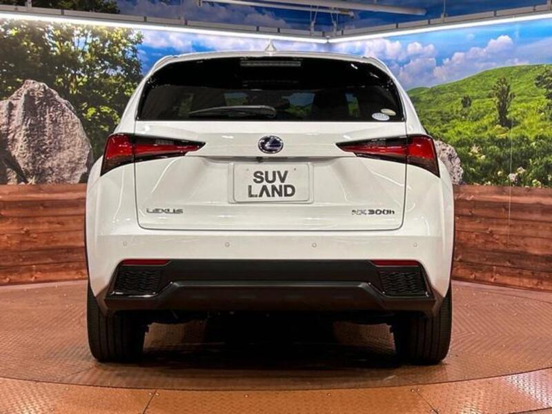 NX