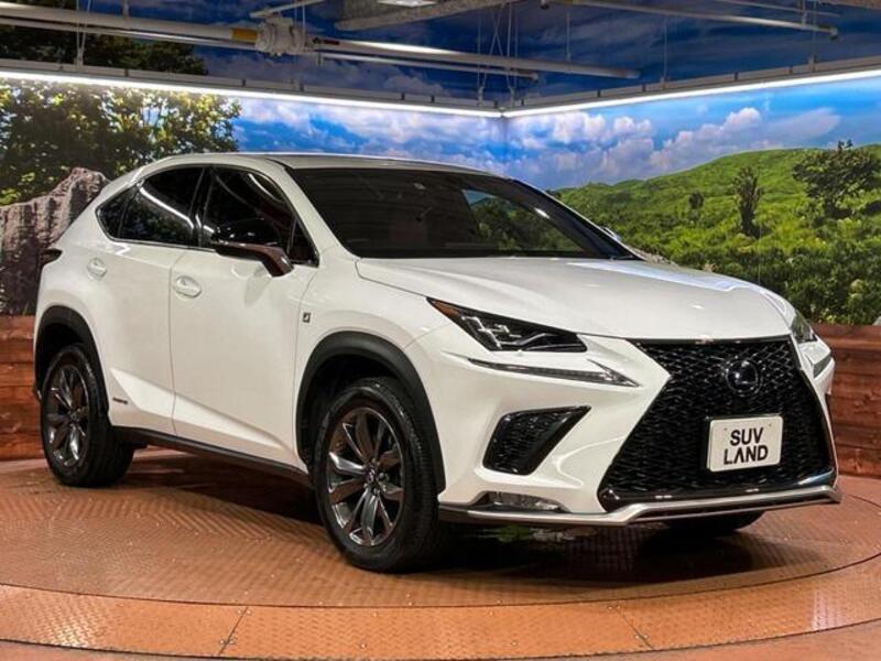 NX