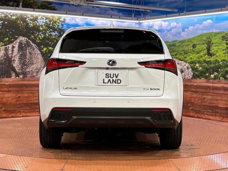 NX