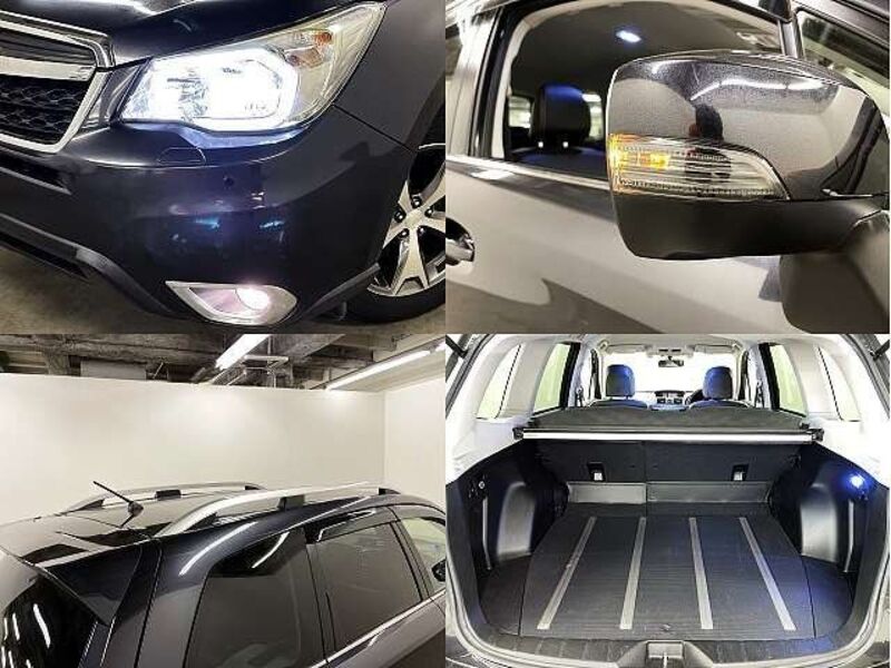 FORESTER