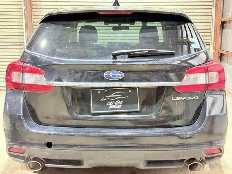 LEVORG