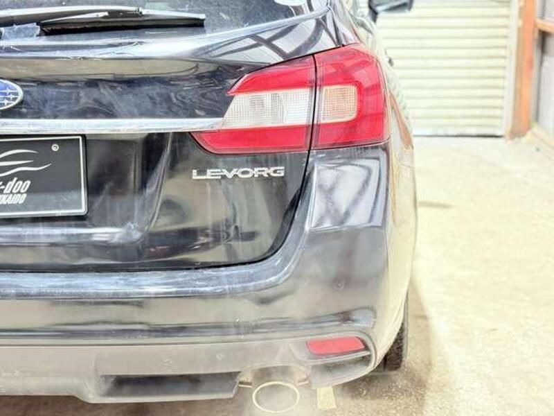 LEVORG