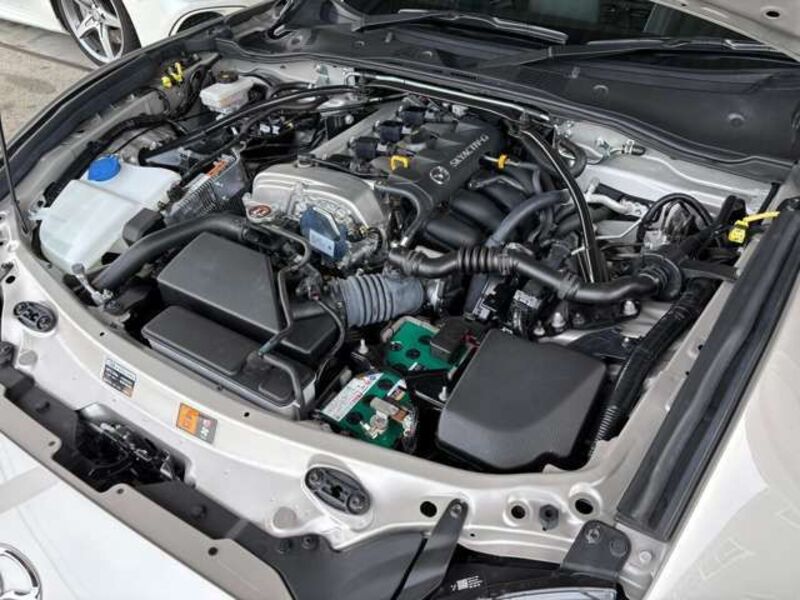 ROADSTER RF