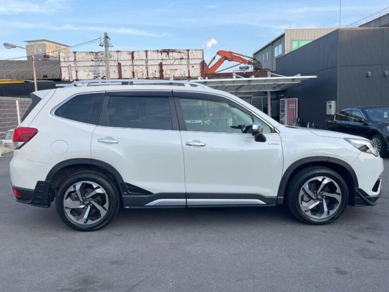 FORESTER