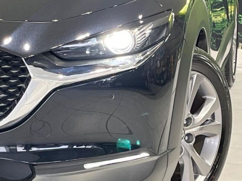 CX-30
