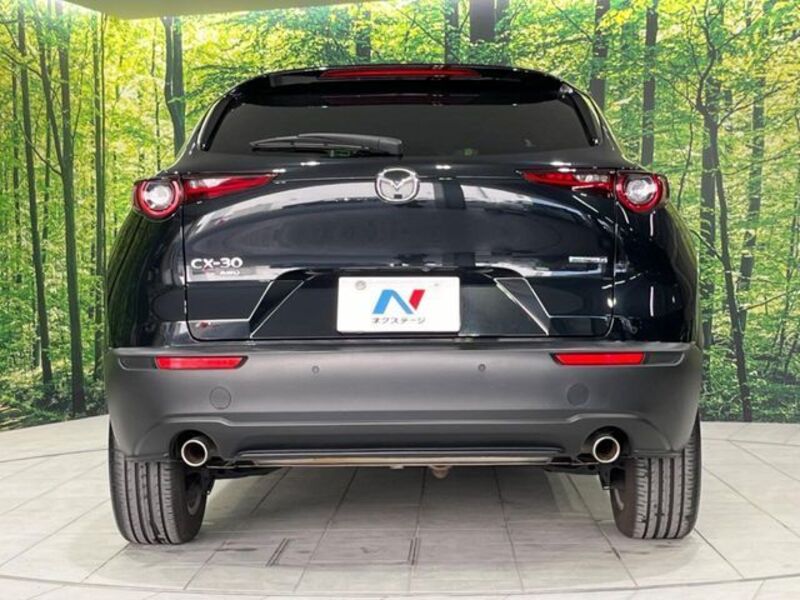 CX-30