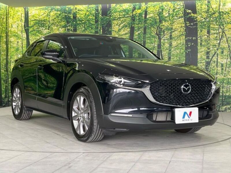 CX-30