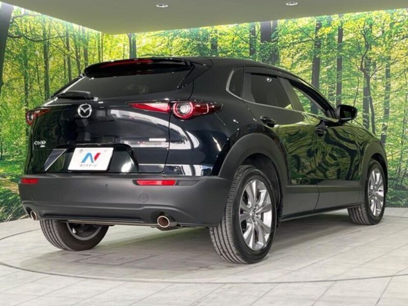 CX-30