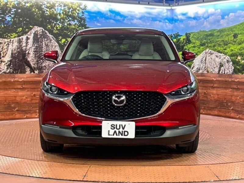 CX-30