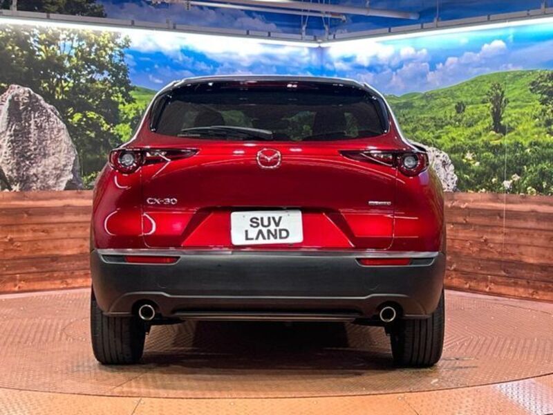 CX-30