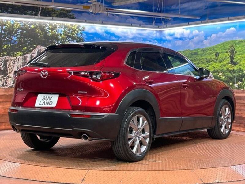 CX-30
