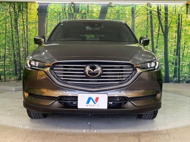 CX-8