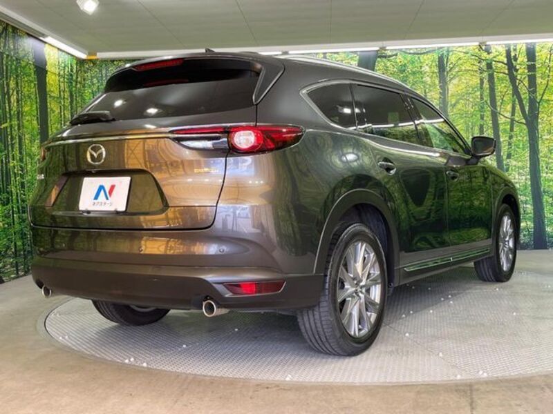CX-8