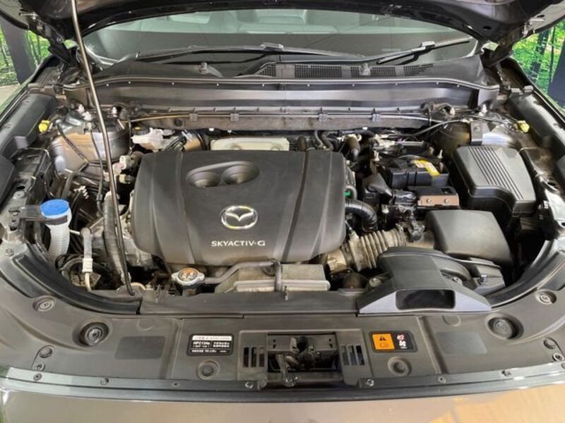 CX-8
