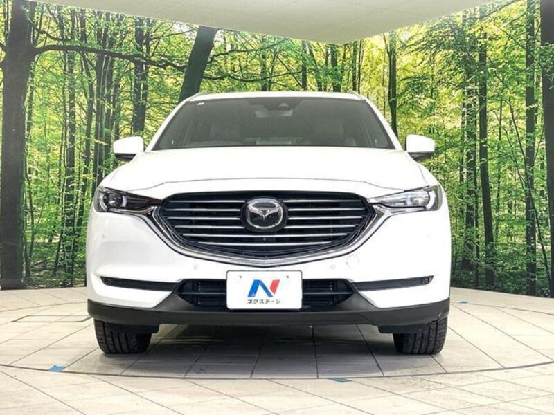 CX-8