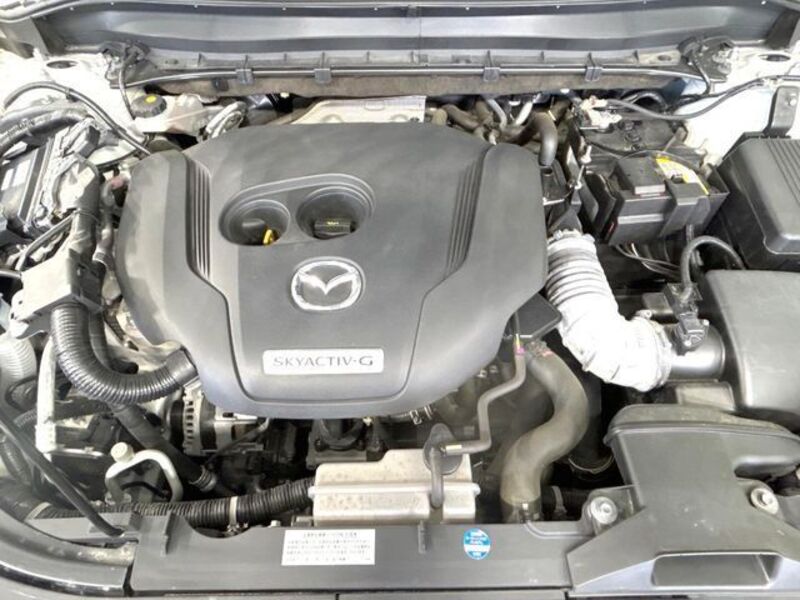 CX-8
