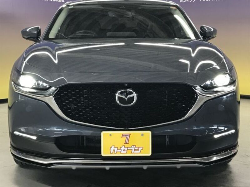 CX-30