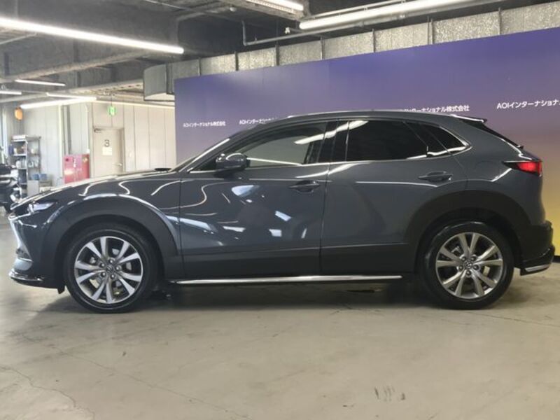 CX-30