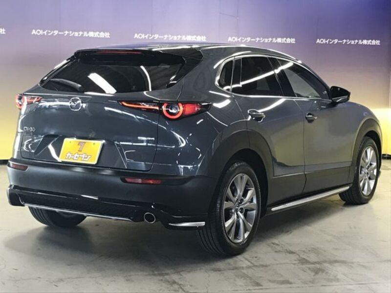CX-30