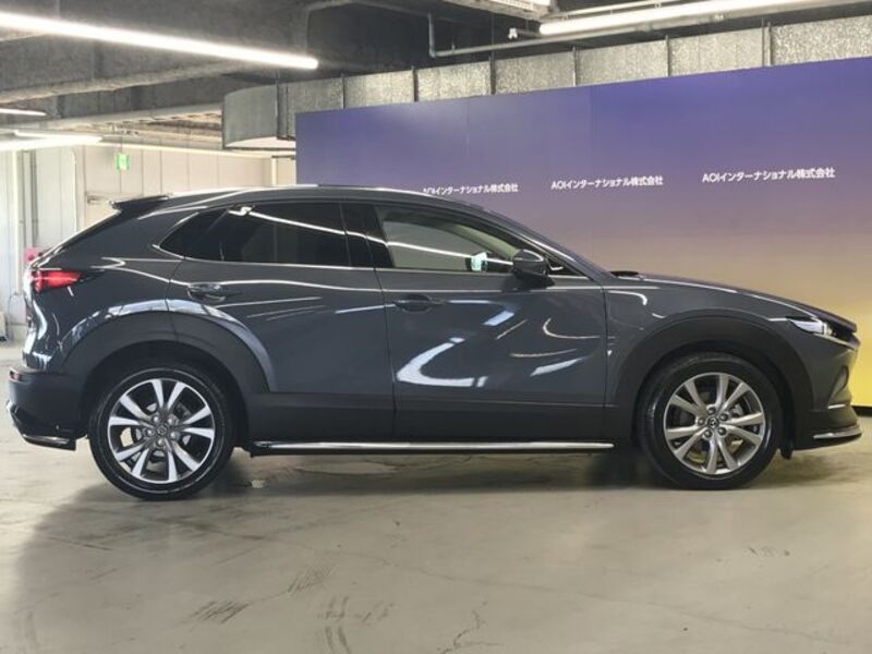 CX-30
