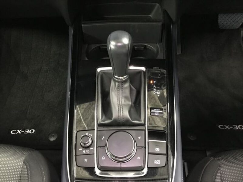 CX-30