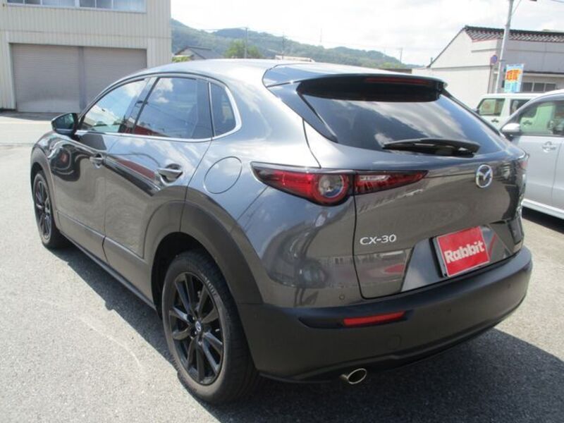 CX-30