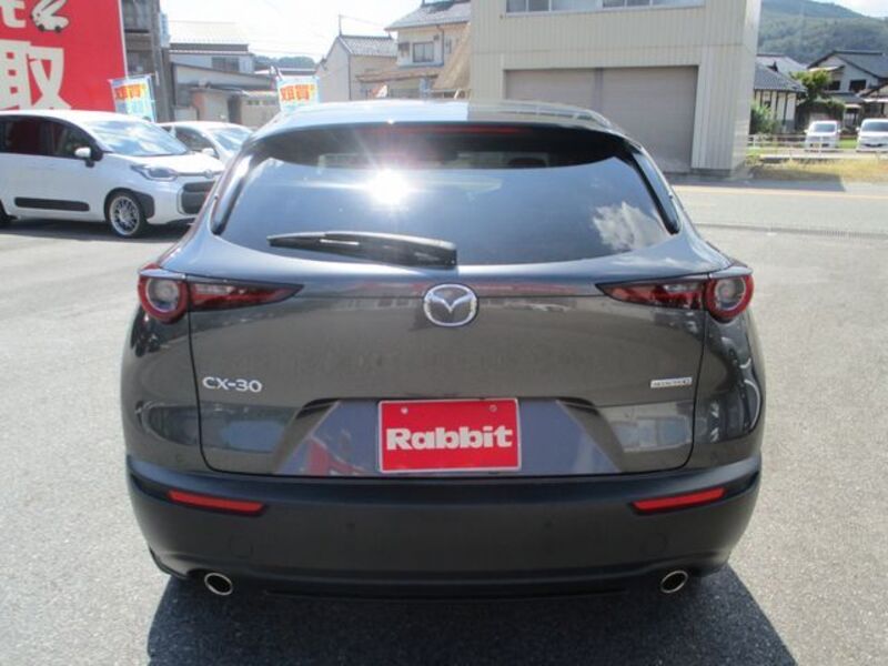 CX-30