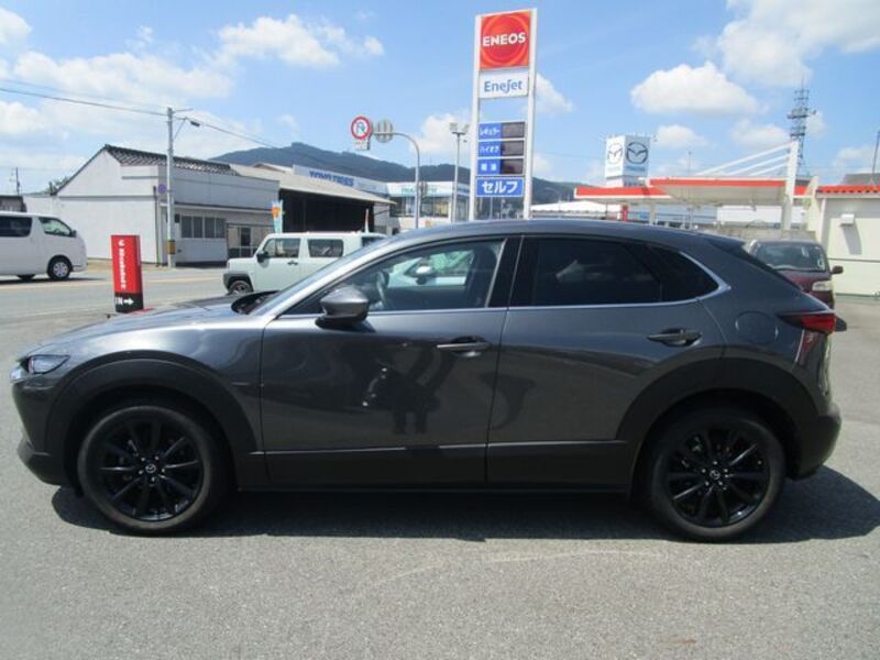 CX-30