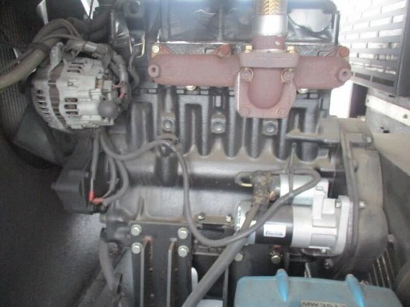 CANTER GUTS