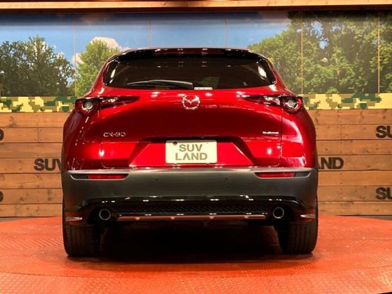 CX-30