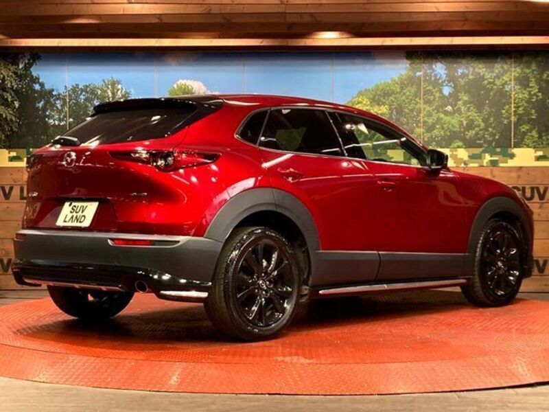 CX-30
