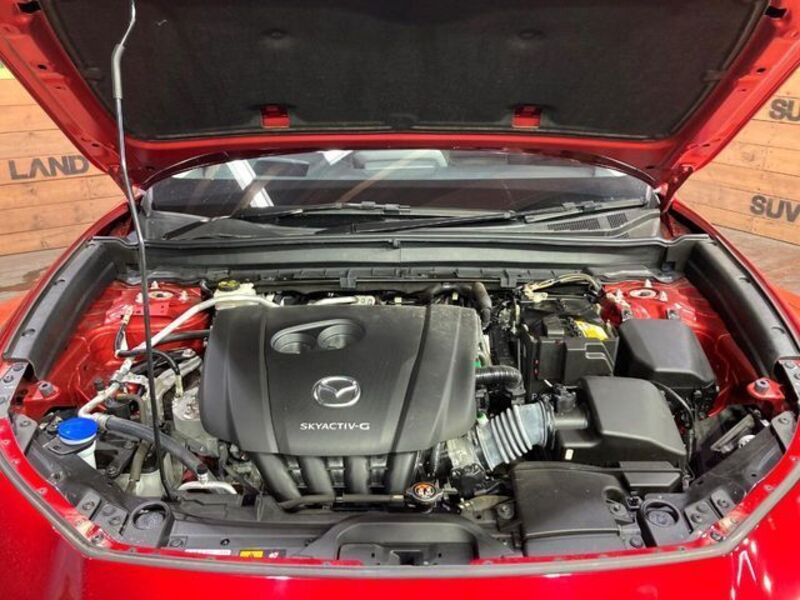 CX-30