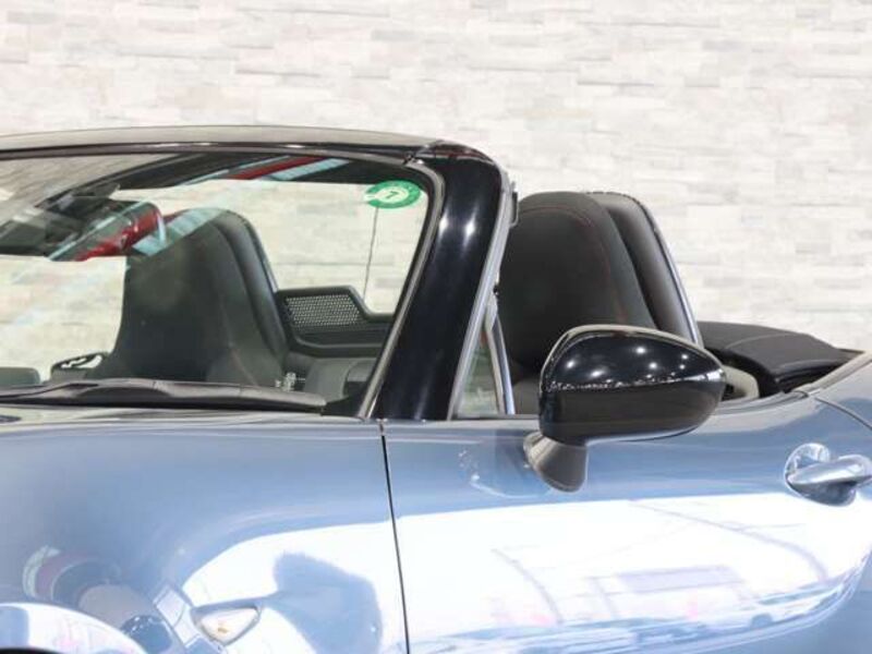 ROADSTER