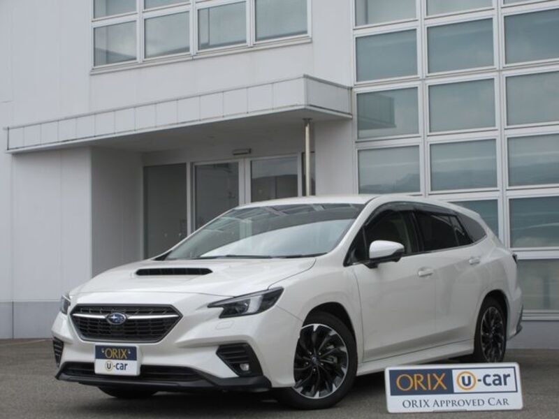 LEVORG-0