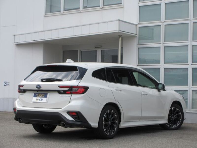 LEVORG