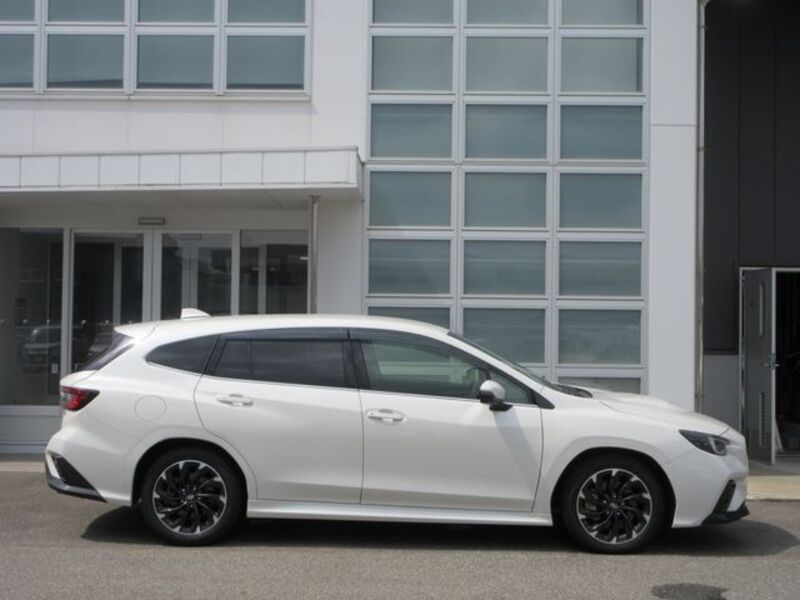 LEVORG