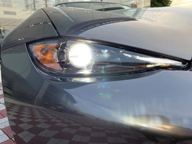 ROADSTER RF