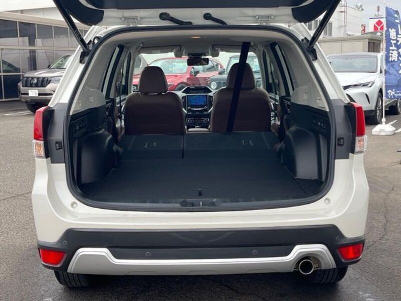 FORESTER