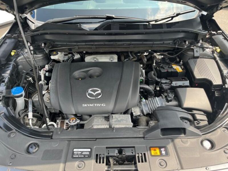 CX-8